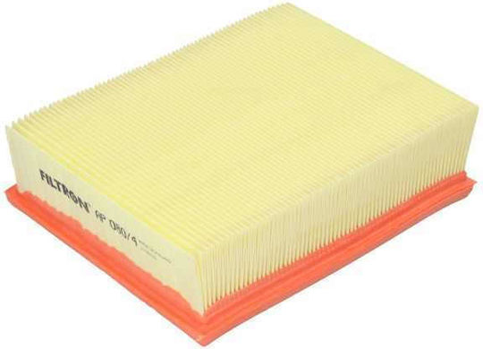 Filtron Car Air Filter for Peugeot 206 1.8HDI, 1.9D