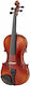 Gewa Allegro VL1 4/4 Violinen