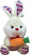 ToyMarkt Easter Ecru Plush Bunny for 3+ Years Old 25 cm