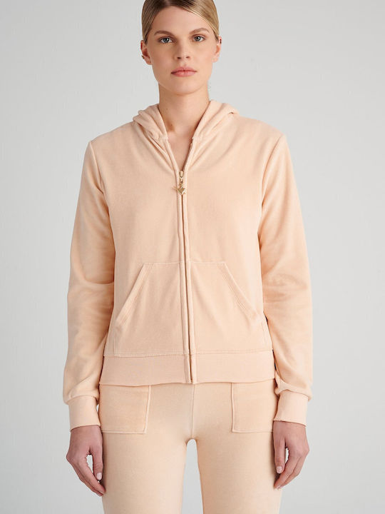 SugarFree SugarFree