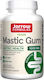Jarrow Formulas Mastic Gum 500мг 60 вегетариански капсули