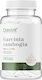 OstroVit Garcinia Cambogia 500мг 90 вегетариански капсули