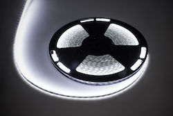 Rebel Водоустойчива LED Лента Телевизор 12V със Студено бяло Светлина 25м Rebel Водоустойчива LED Лента Телевизор 12V със Студено бяло Светлина 25м