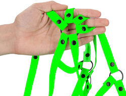 Shots Ouch! Glow In The Dark Κορμάκι Full Body Harness Πράσινο