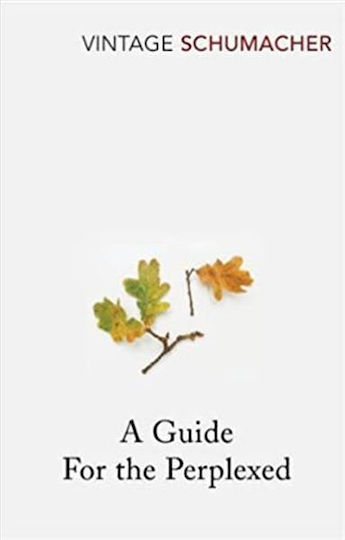 A Guide for the Perplexed A Guide for the Perplexed