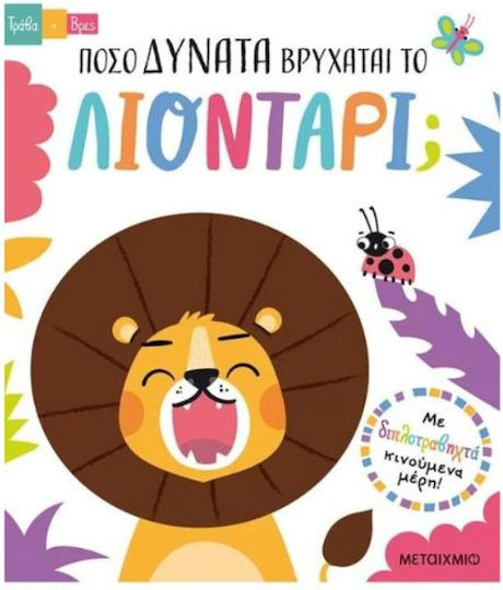 Πόσο Δυνατά Βρυχάται το Λιοντάρι;, Τράβα και Βρες