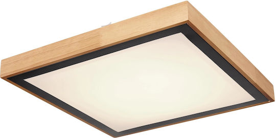 Globo Lighting Bruno Квадрат На открито LED Панел 24W с Студено бяло Светлина 6000К