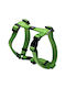 Rogz Hundegeschirr Utility Grün Groß 45-76cm RGSJ06L