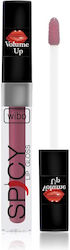 Wibo Spicy Lipgloss 01 3ml