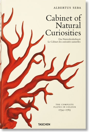 Cabinet of Natural Curiosities