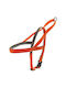 Ferribiella Dog Harness Training Fun Flat Orange Small 15mm x 49-67cm HI733-AR