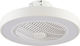 Inlight Chilko Ceiling Fan 50cm with Light Fixt...