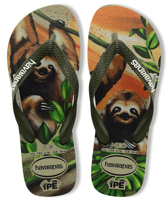 Havaianas Ipe Σαγιονάρες σε Χακί Χρώμα