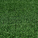 Synthetic Turf in Roll Decora with 8mm Height (price per sq.m)
