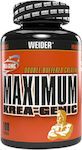 Weider Maximum Krea-Genic 100 capace