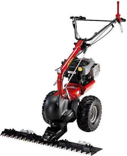 Eurosystems P70 Τετράχρονο Σκαπτικό Βενζίνης 224cc με Χειρόμιζα και Κινητήρα Loncin
