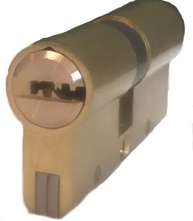 Domus Lock Cylinder Security with 5 Keys Gold