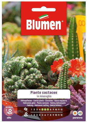 Blumen Speciale Semințe Cactus