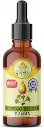 Ελιξήριο Βάμμα Βάμμα Ginkgo Biloba 50ml Ελιξήριο Βάμμα Βάμμα Ginkgo Biloba 50ml