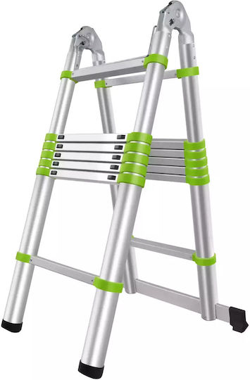 Fieldmann Teleskopische Leiter Aluminium 15 Stufen mit maximaler Höhe 4.4m FZZ4006 50001672