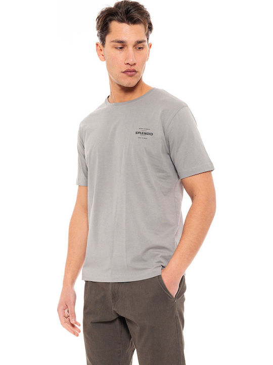 Splendid T-shirt Γκρι