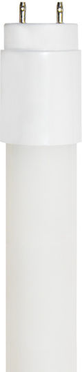 Diolamp LED-Lampe 12W Röhrenform 90εκ. für Fassung G13 und Form T8 Kühles Weiß 1390lm