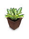 Viosarp Violet Flower Pot 10L in Brown Color B223-3