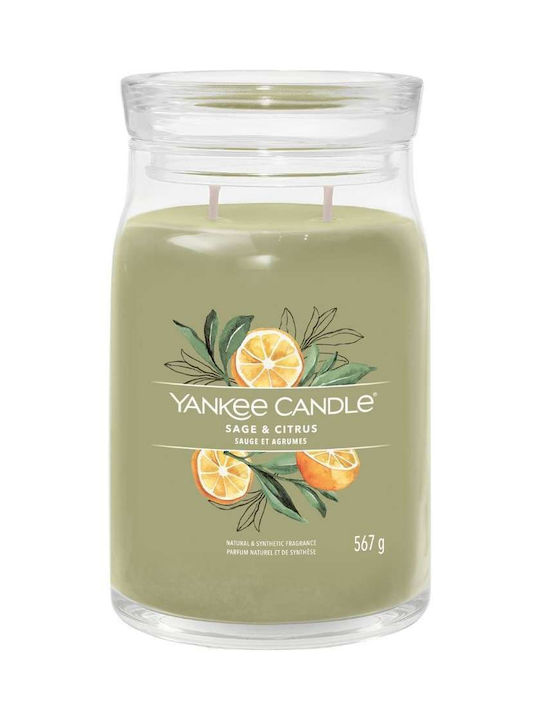 Yankee Candle Lumânare Aromată de Soia Borcan cu Aromă Salvie și citrice Verde 9.3x15.7buc 1buc