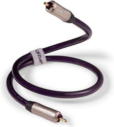QED 1m RCA male Cable