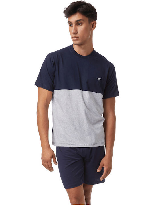 Minerva Bull Blue