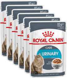 Royal Canin Urinary Υγρή Τροφή για Ενήλικες Γάτες σε Φακελάκι Gravy 85gr 6τμχ