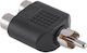 Cabletech Konverter RCA männlich zu RCA 2x weib...