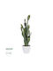 GloboStar Artificial Decorative Branch Cactus Green 72cm 1pcs