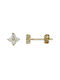 Cercei de aur 14K Stud