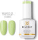 Bluesky Speak Your Truth Semi-Permanent Nail Po...