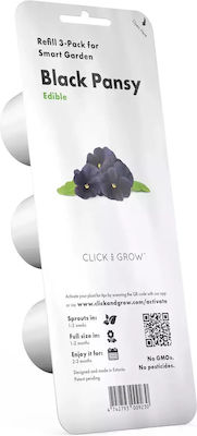 Click and Grow Black Pansy Semințe Viola 3buc