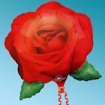 Μπαλόνι foil Rose 27" Anagram