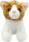 Plush Cat 15 cm