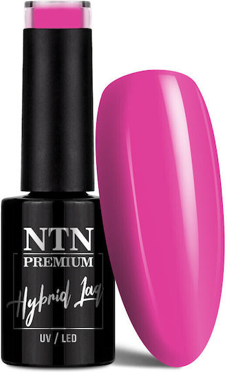 NTN Premium Sorbet Semi-Permanent Nail Polish 150 5ml 1pcs