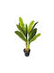 Arbore Artificial de Exterior Musa Green 120cm Newplan
