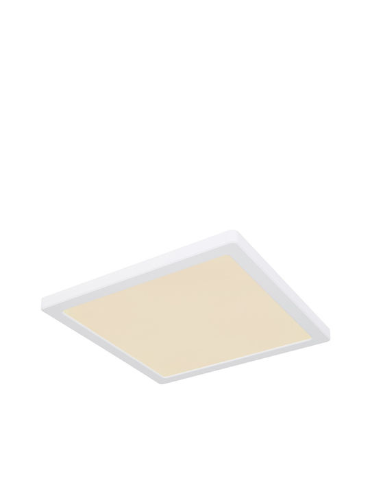 Globo Lighting Τετράγωνο Εξωτερικό LED Panel 24W με Ψυχρό Λευκό Φως 6500K