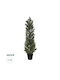 Artificial Plant in Pot Lemon Cypress Yellow 180cm GloboStar