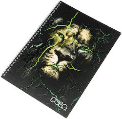 Polo Spiral Notebook Ruled A4 60 Sheets 2 Subje...
