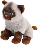 Wild Republic Plush Siamese for 3+ Years 13 cm