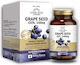 John Noa Liposomal Grape Seed 140mg 90 φυτικές κάψουλες