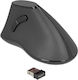 DeLock Wireless Ergonomic Vertical Mouse Black