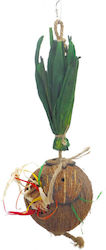 Toy for parrots coconut smiling 43cm