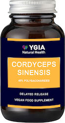 Ygia Cordyceps Sinensis 400mg 60 φυτικές κάψουλες