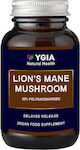 Ygia Lion's Mane Mushroom Ειδικό Συμπλήρωμα Διατροφής 60 φυτικές κάψουλες