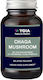 Ygia Chaga Mushroom 6.750mg 60 φυτικές κάψουλες
